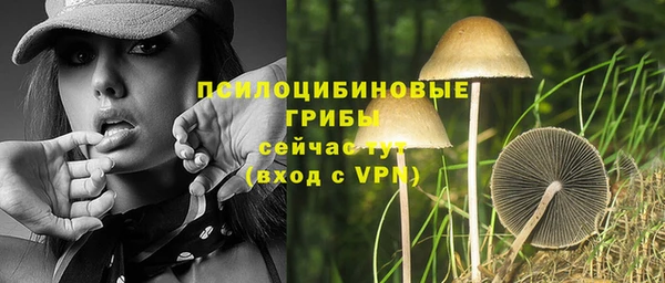 дурь Остров