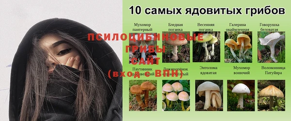 мескалин Осташков