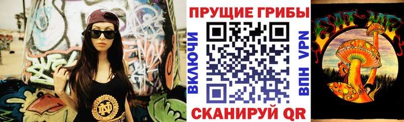 Псилоцибиновые грибы Psilocybe  Махачкала 